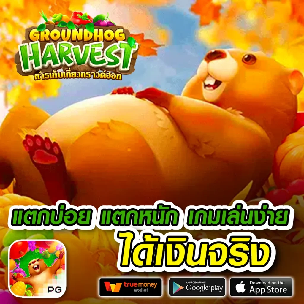 เล่นเกม m24